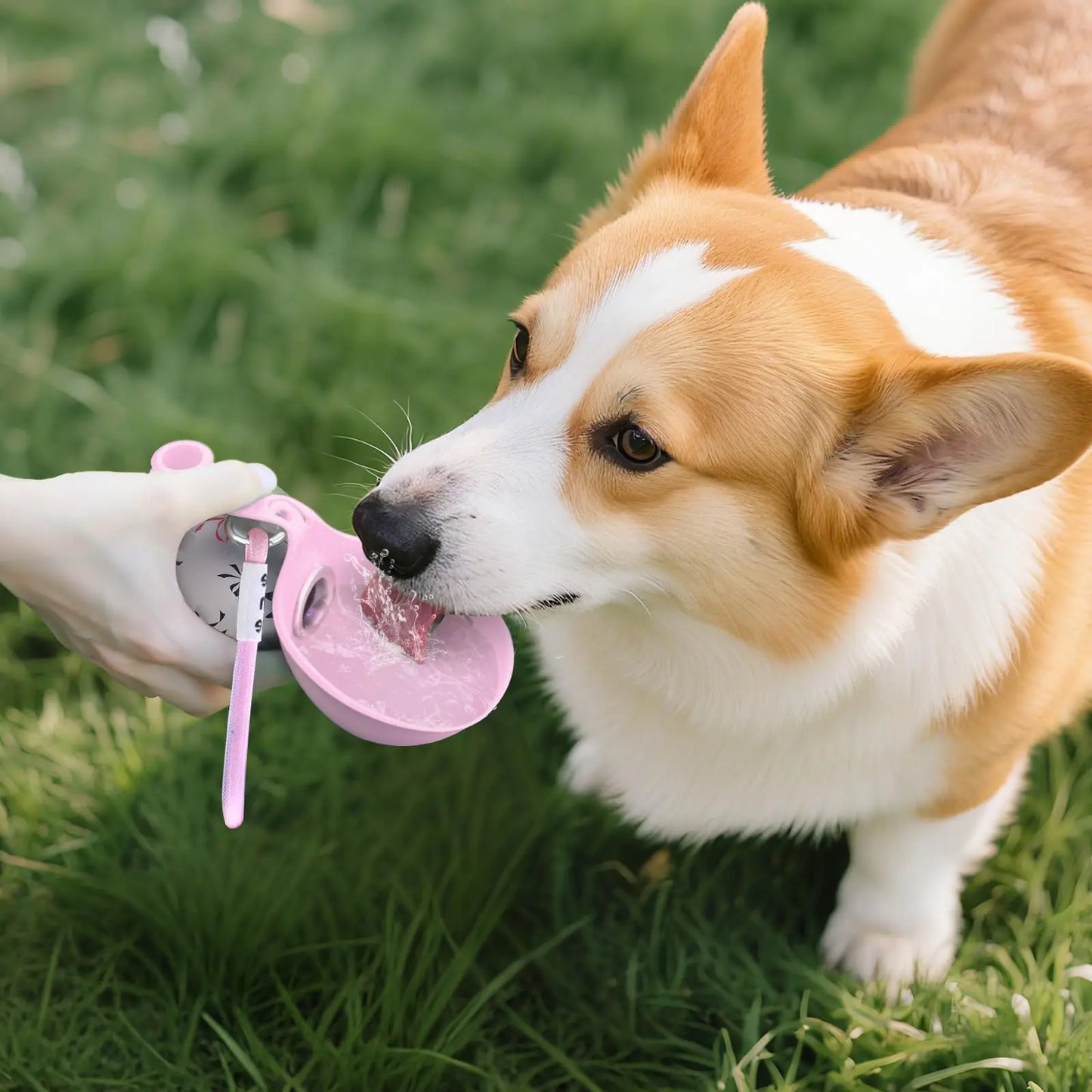 2‑in‑1 Portable Dog Water Bottle for Small Dogs