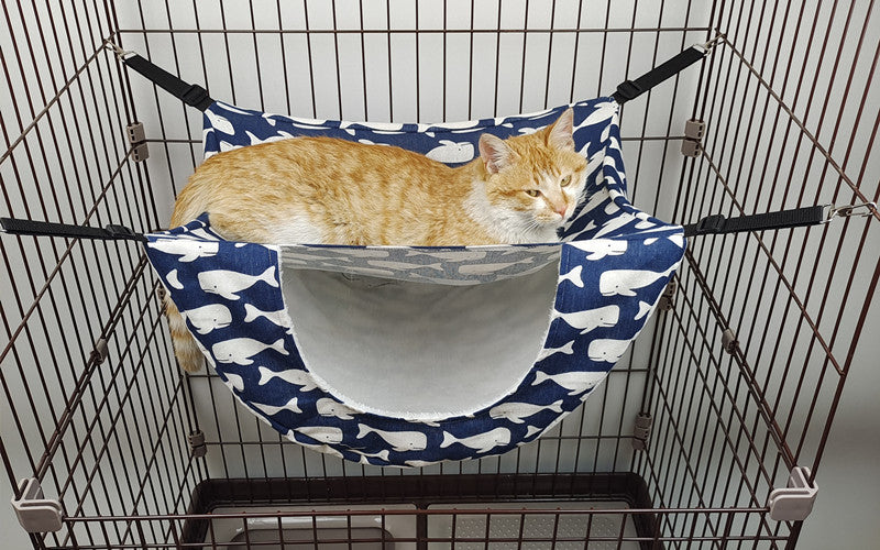 Cat cage hammock