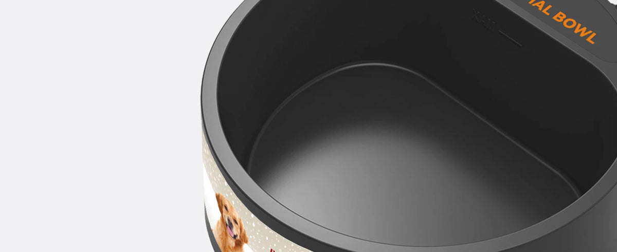 Outdoor Heated Water Bowl for Dogs Cats 2.2L Winter Heating