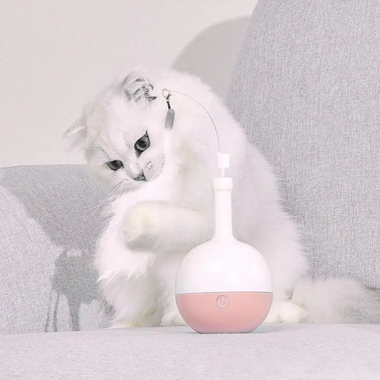 Indoor Cat Teaser Toy