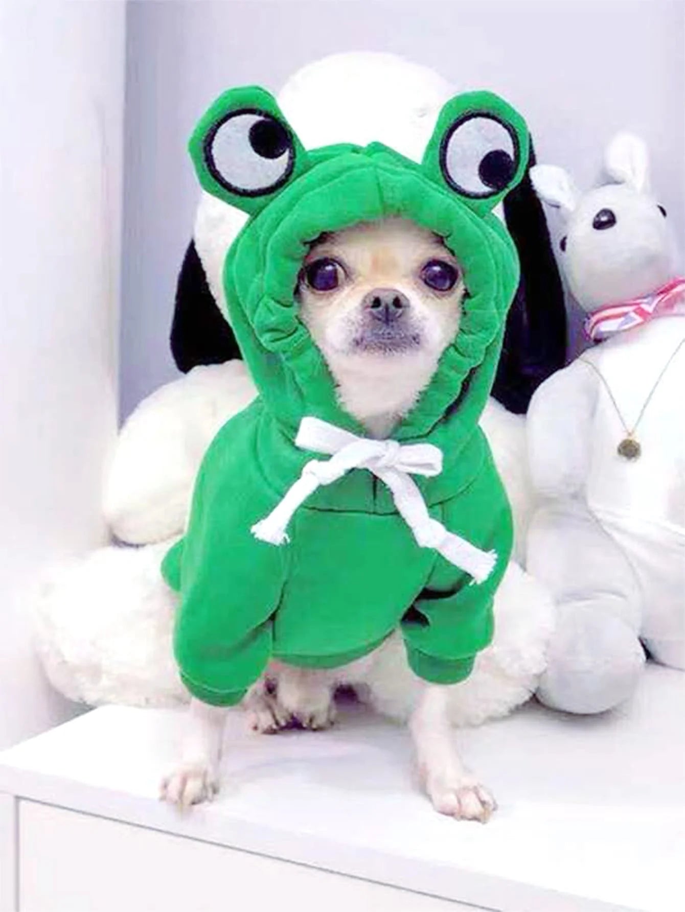 Cute Frog Pet Sweater for Dogs