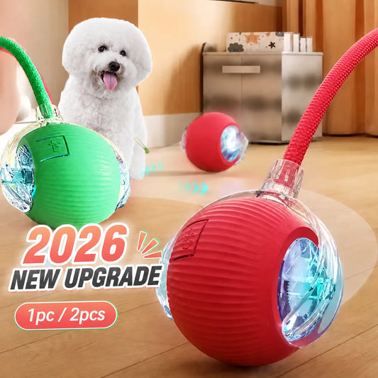 Automatic Rolling Dog Ball Rechargeable