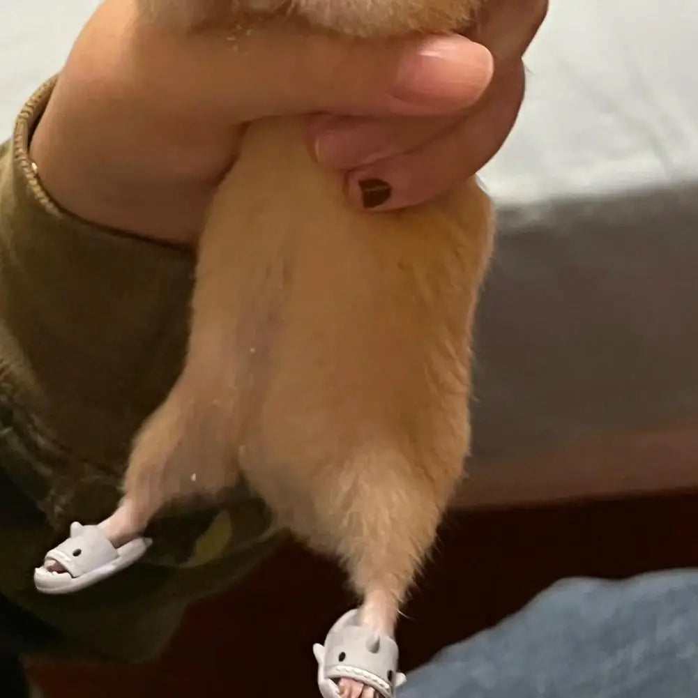 Hamster Mini Slipper Supplies