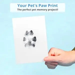 DIY Inkless Nose and Pawprint Impression Making Kit