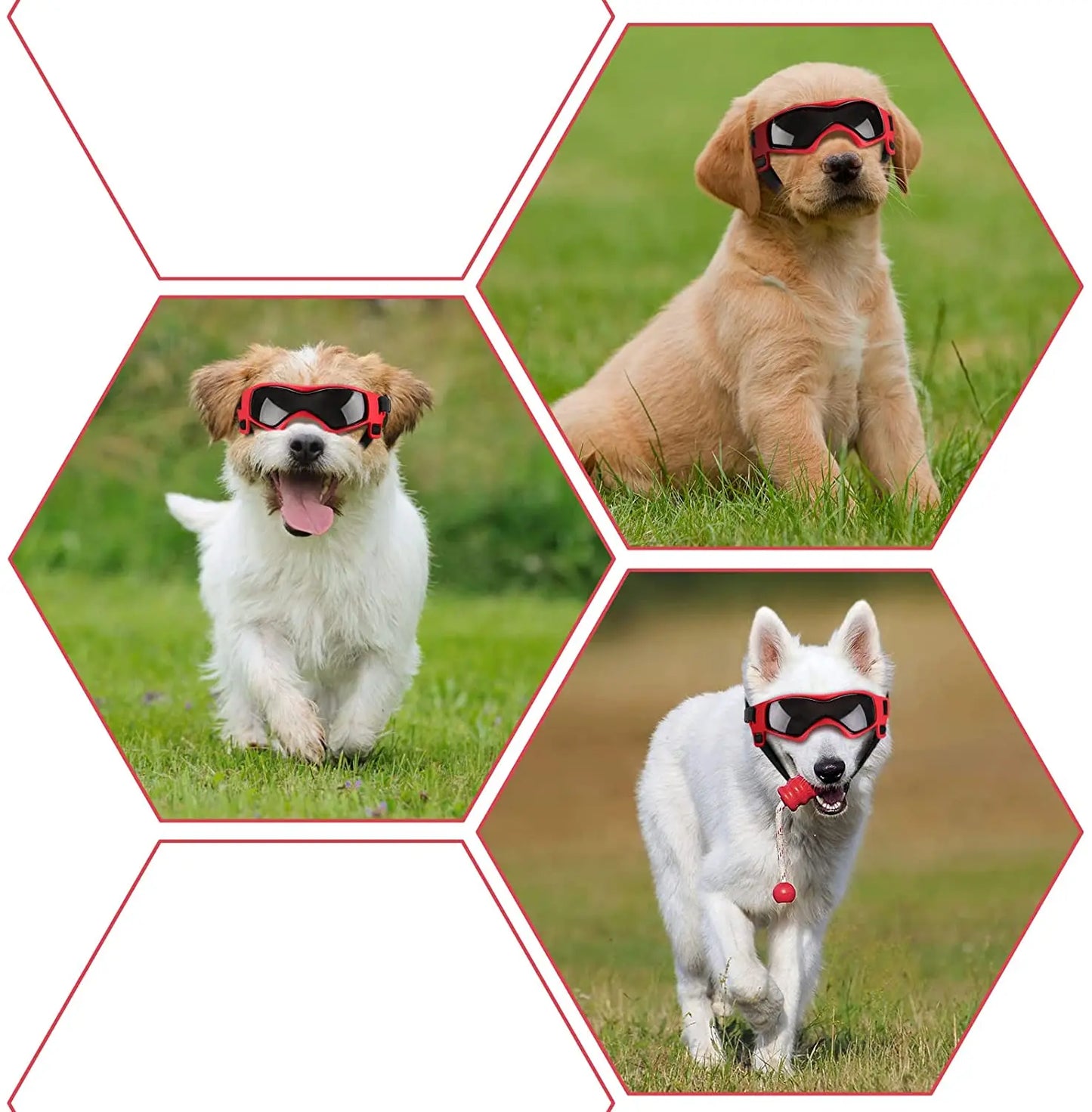 Dog Outdoor UV Protection Sunglasses