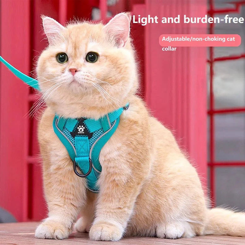 Cat Harness and Leash Set