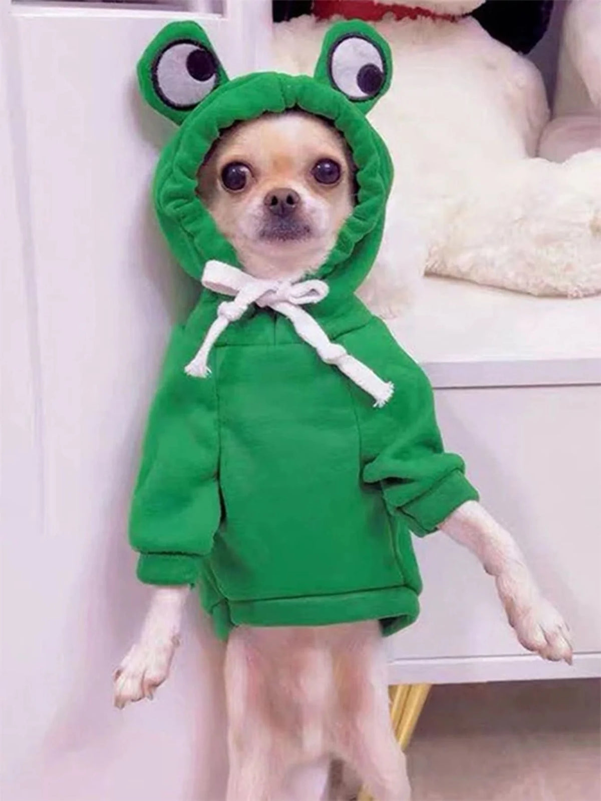 Cute Frog Pet Sweater for Dogs