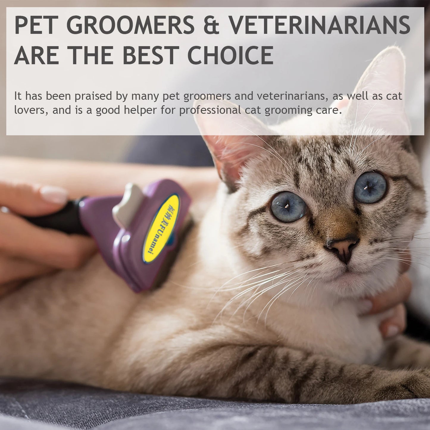 Dog Brush Pet Hair Knotting Remover Anti-Lice Comb