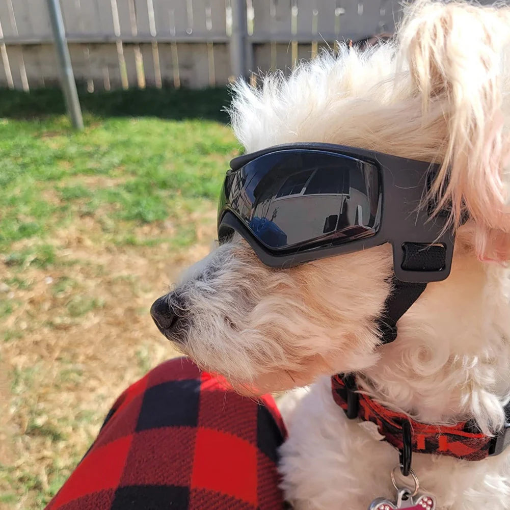 Dog Outdoor UV Protection Sunglasses