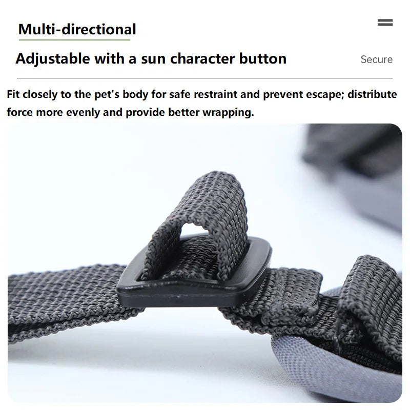 Cat Harness and Leash Set