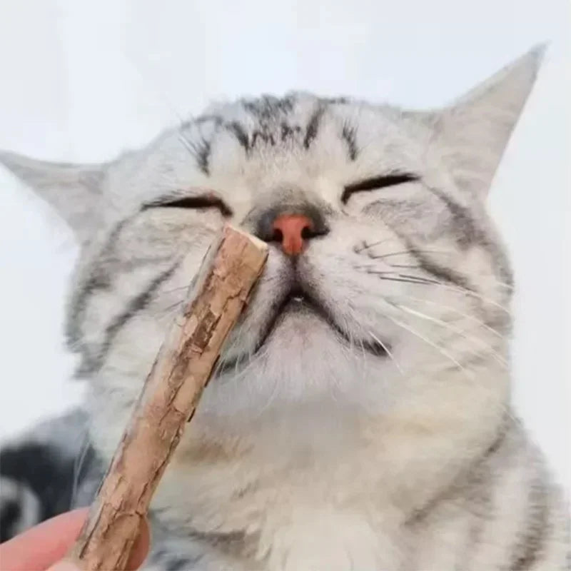 Natural Silvervine Sticks for Cats Teeth Cleaning