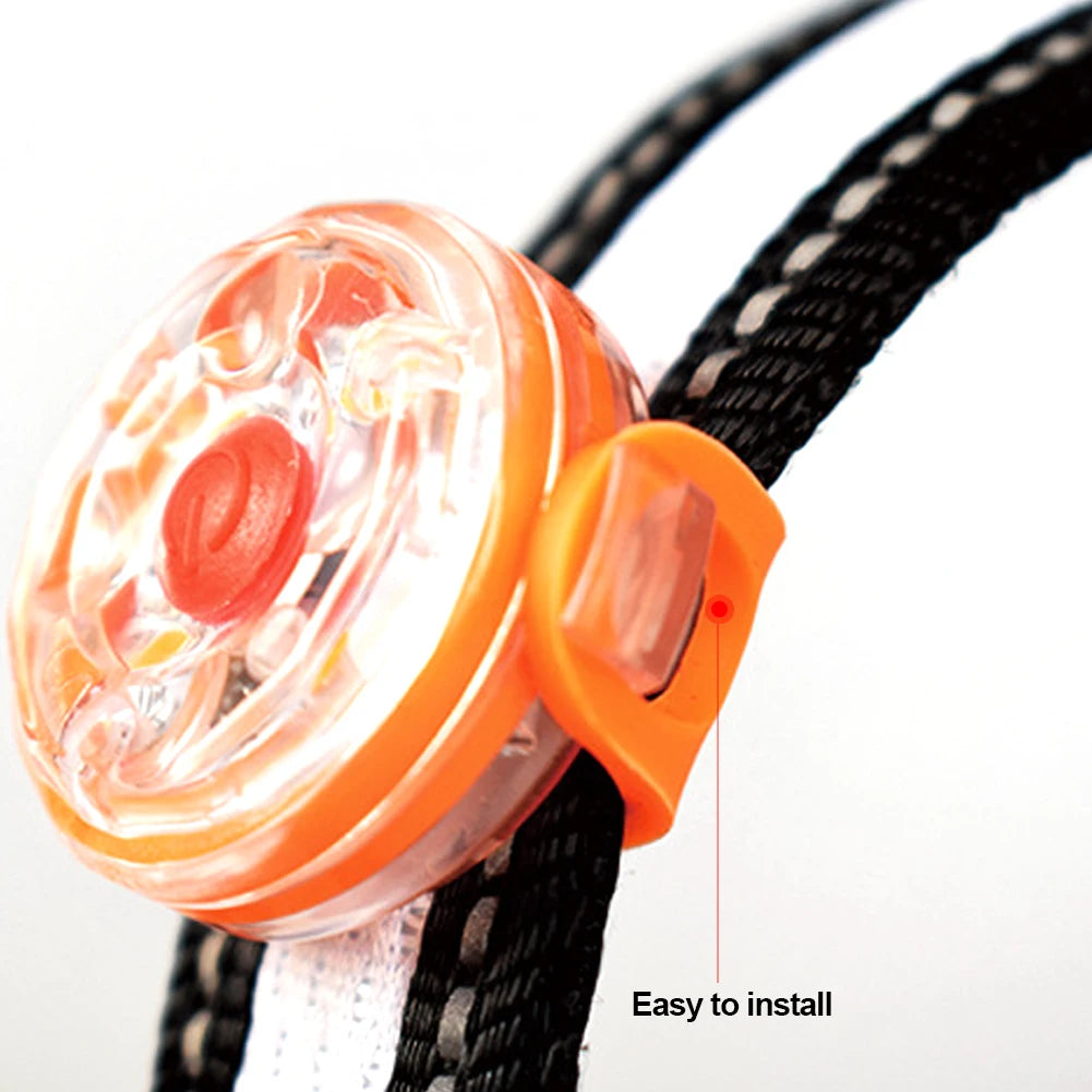USB Rechargeable LED Light Dogs Collars