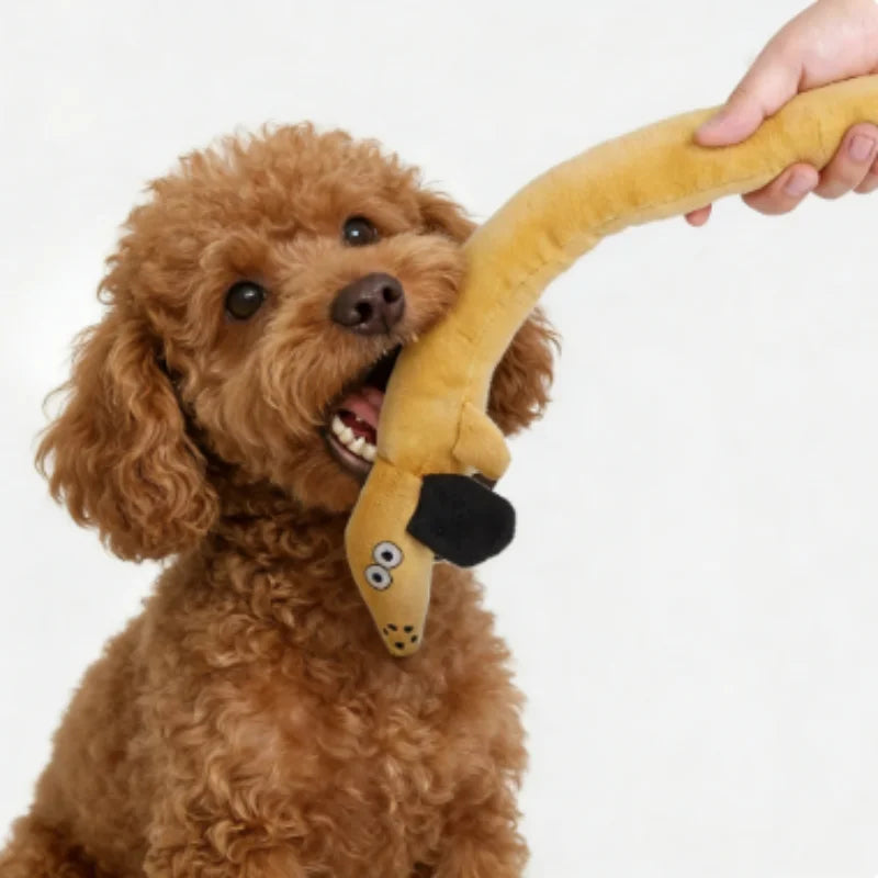 Snail Shaped Dog and Cat Toys Pets