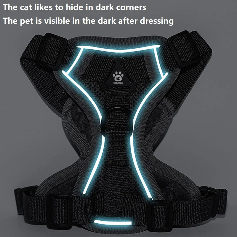 Cat Harness and Leash Set