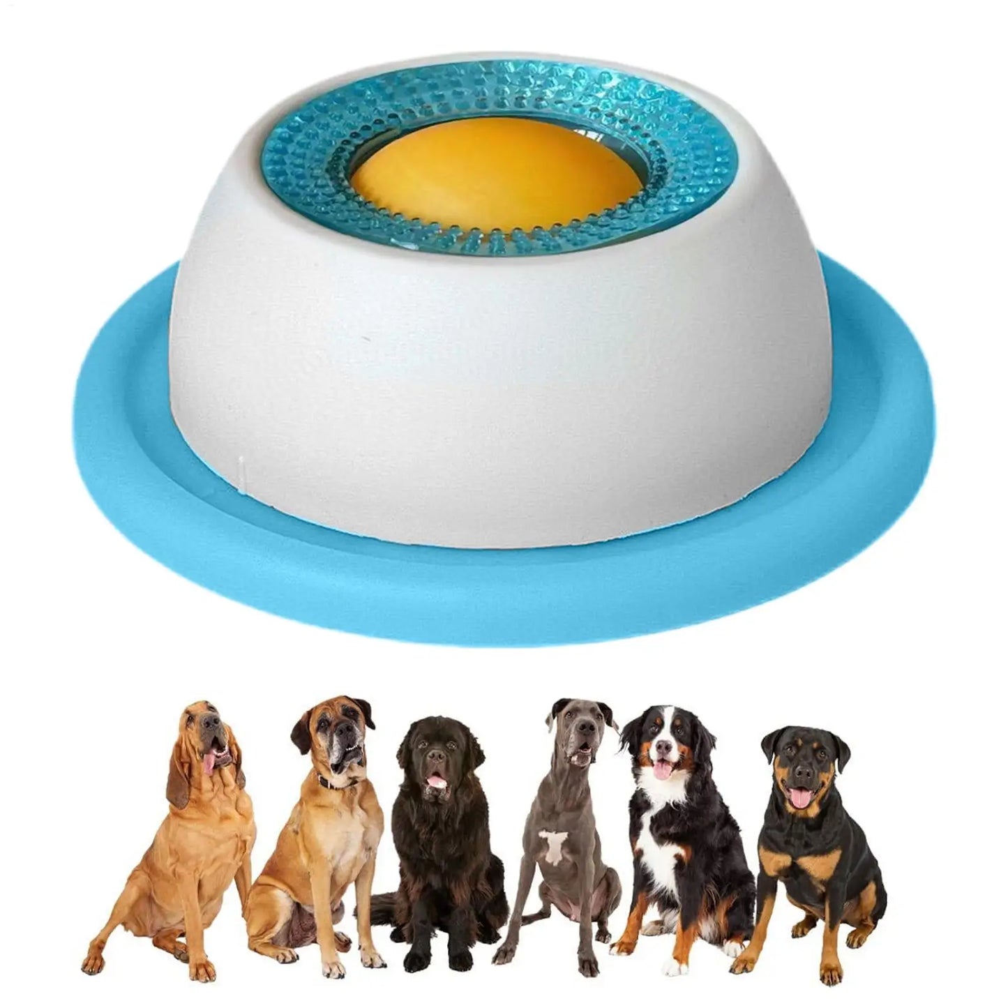 Dog Puzzle Treat Toy