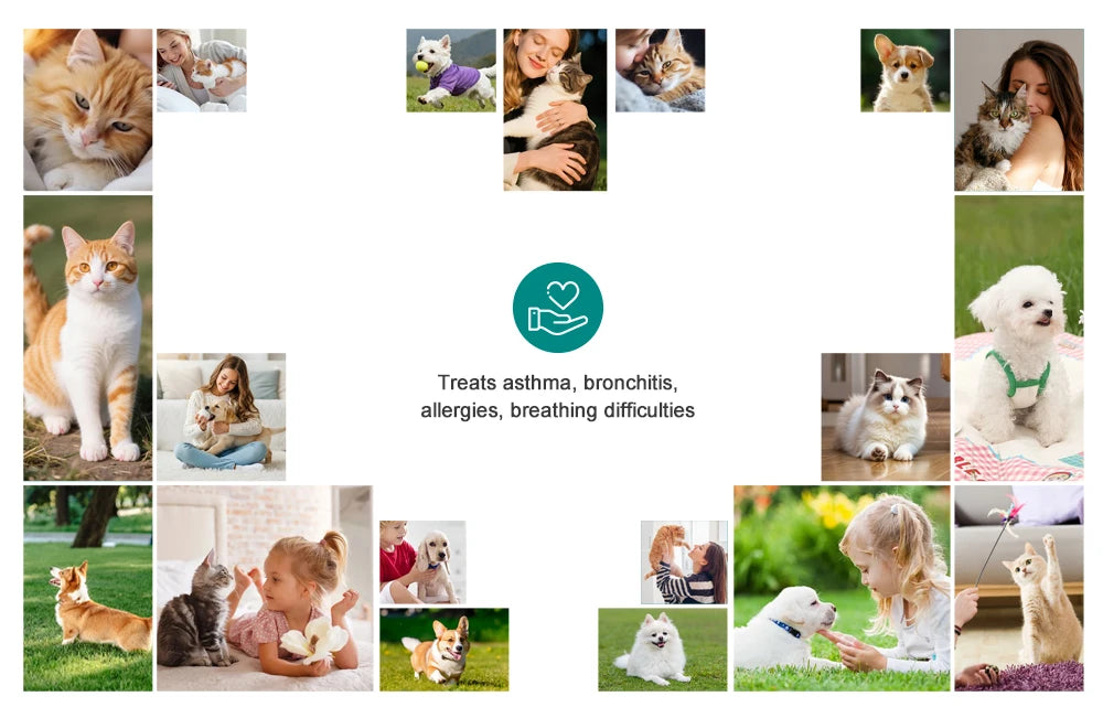 Cat Aerosol Chamber Pet Dog Portable