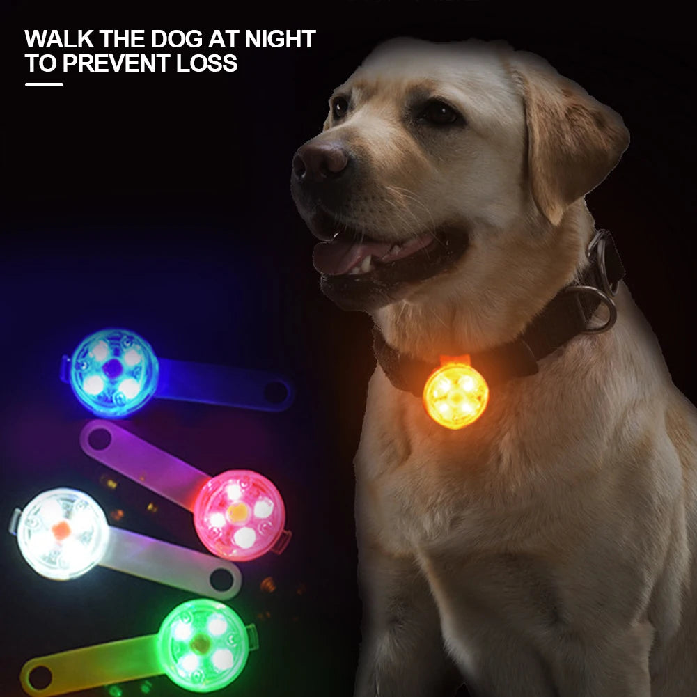 USB Rechargeable LED Light Dogs Collars