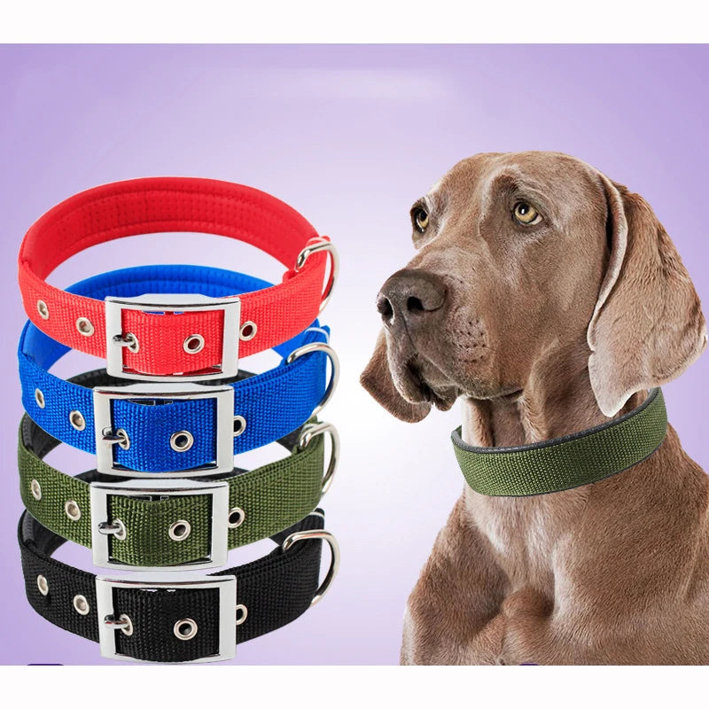 Solid Dog Collars  Nylon Dog Collar