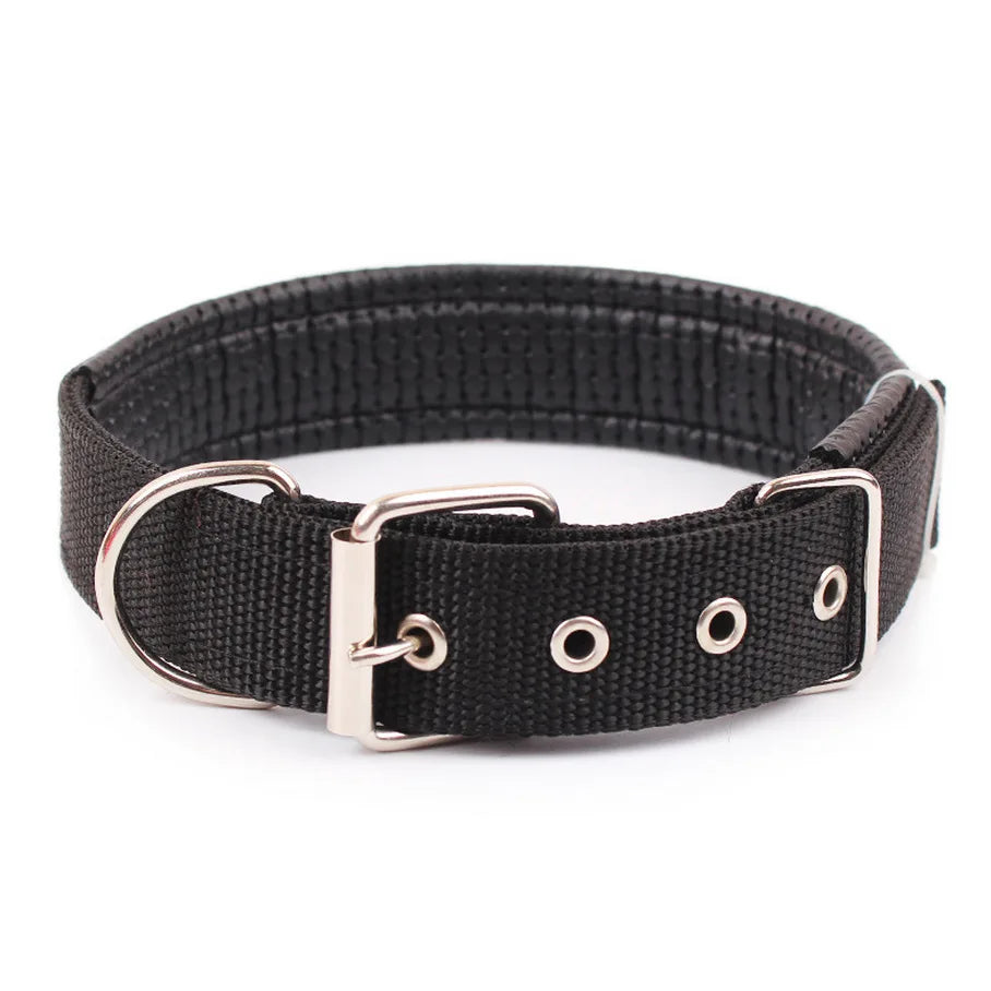 Solid Dog Collars  Nylon Dog Collar
