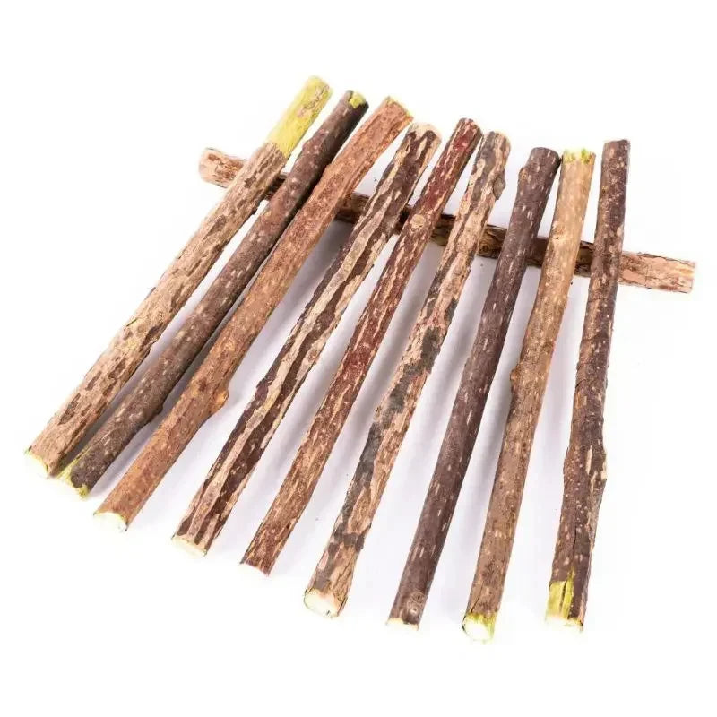 Natural Silvervine Sticks for Cats Teeth Cleaning