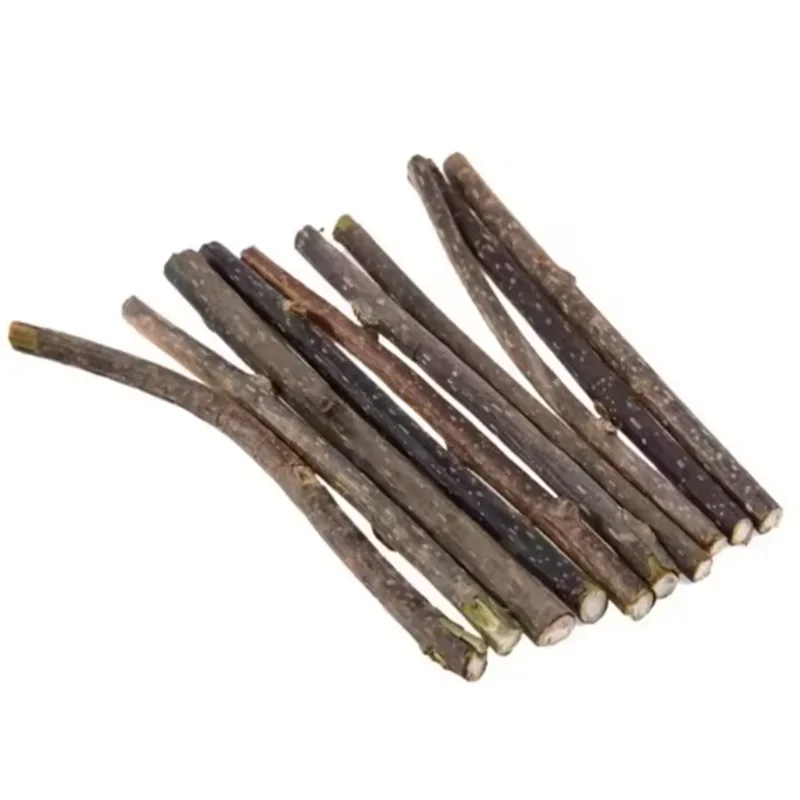 Natural Silvervine Sticks for Cats Teeth Cleaning