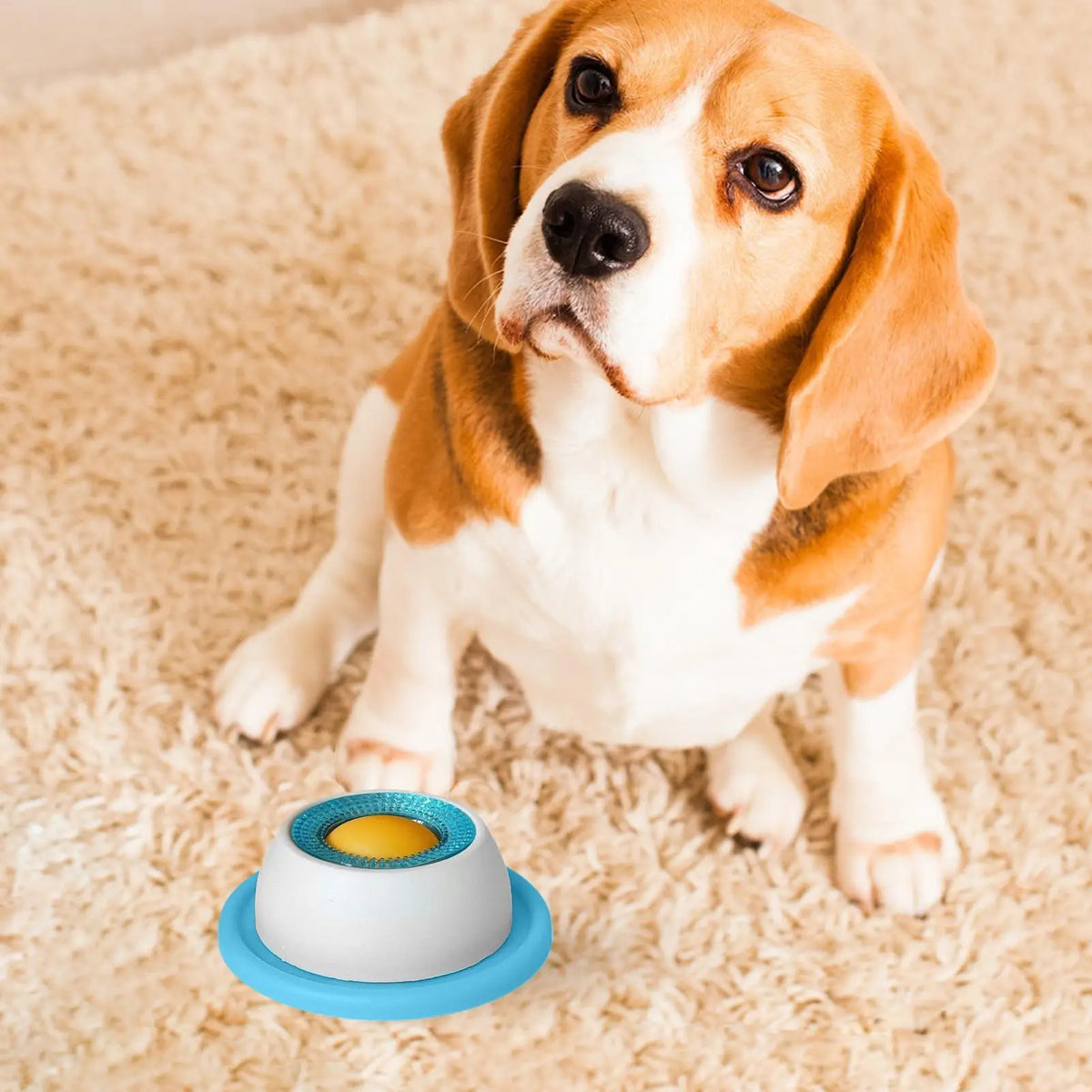 Dog Puzzle Treat Toy