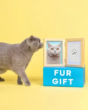 DIY Inkless Nose and Pawprint Impression Making Kit
