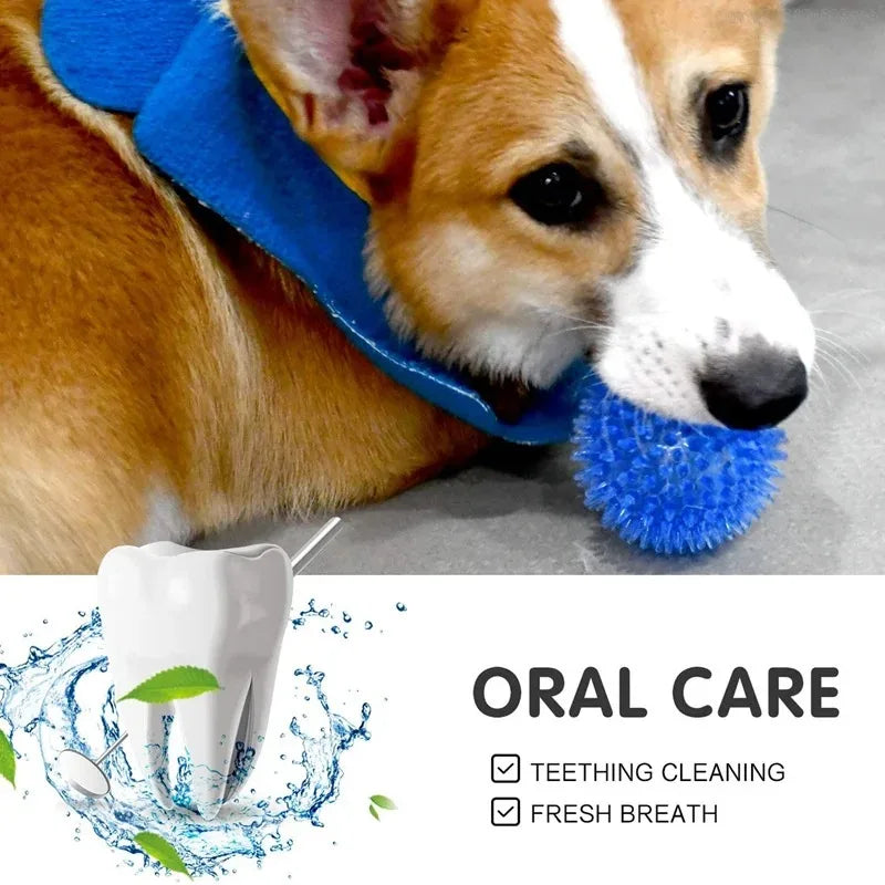 Pet Dog Toys Cat Puppy Sounding Toy Polka