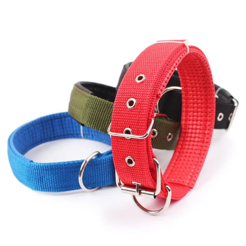 Solid Dog Collars  Nylon Dog Collar