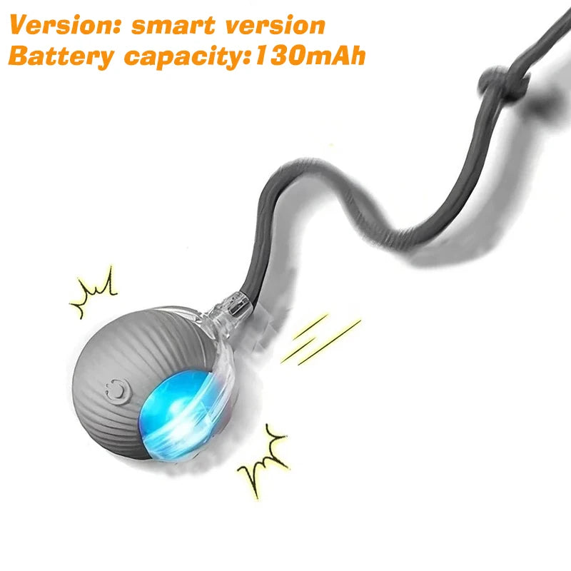 Automatic Rolling Dog Ball Rechargeable
