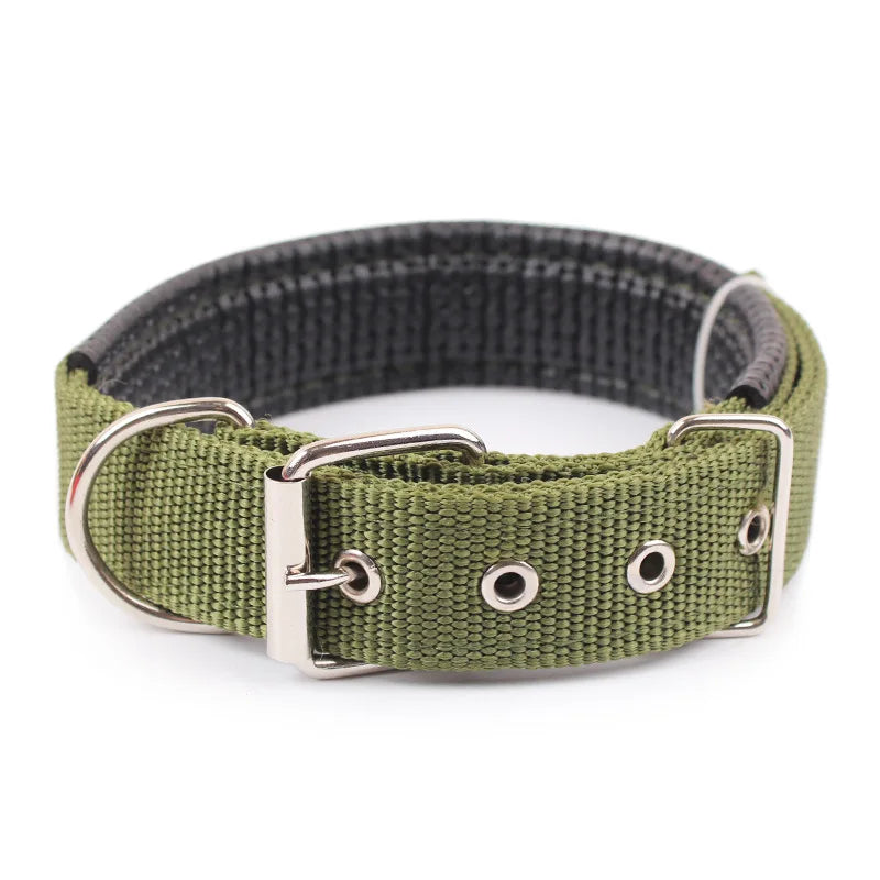 Solid Dog Collars  Nylon Dog Collar