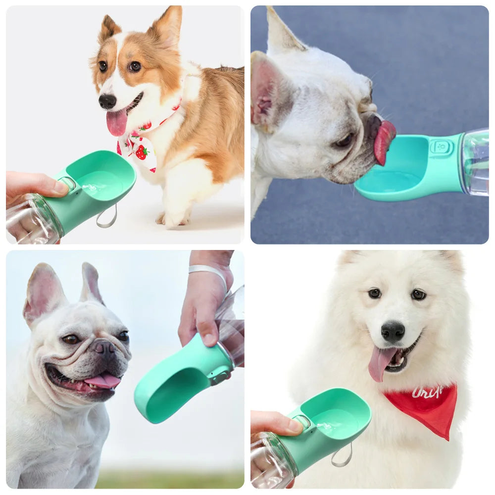 Dog Cat Walking Travel Water Supplies