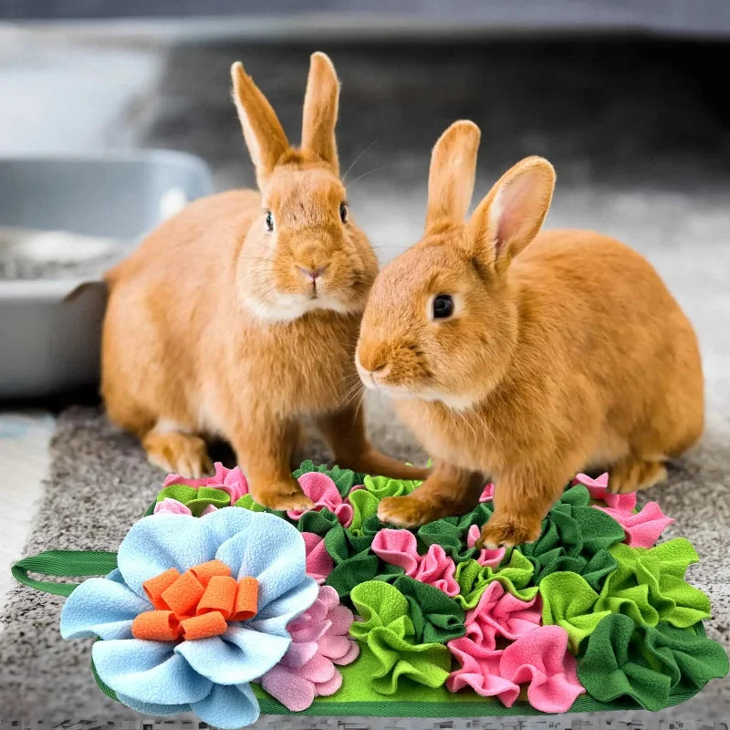 Small Pet Foraging Mat