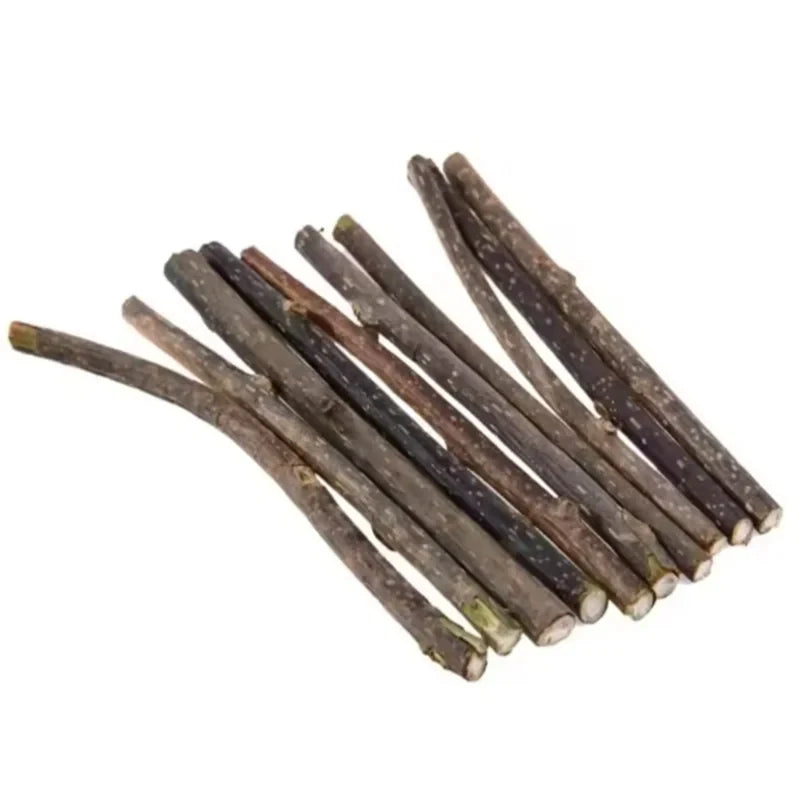 Natural Silvervine Sticks for Cats Teeth Cleaning