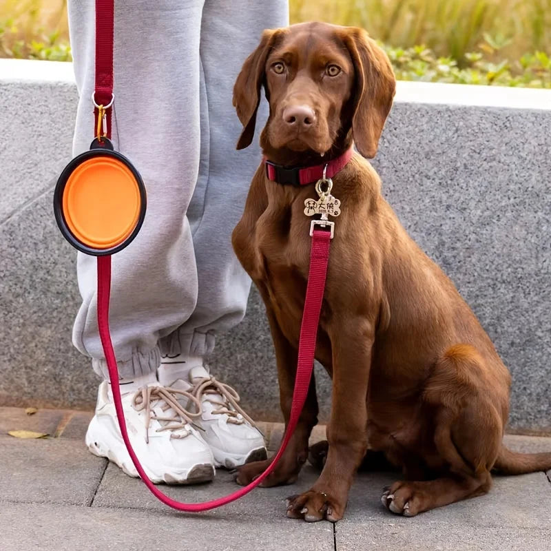 Collapsible Pet Bowl