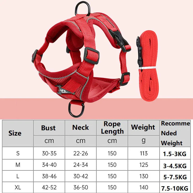 Cat Harness and Leash Set
