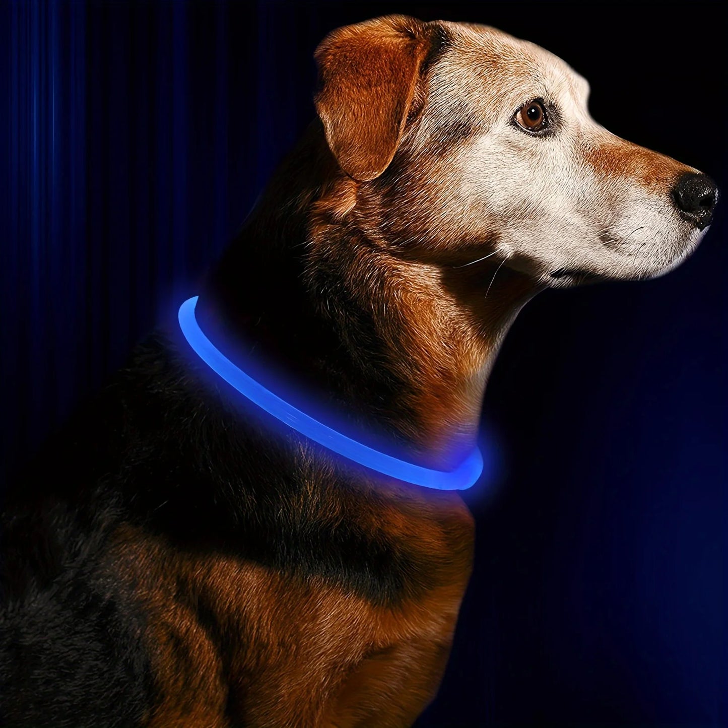 Pet Dog LED Light Collar Luminous Anti-Lost