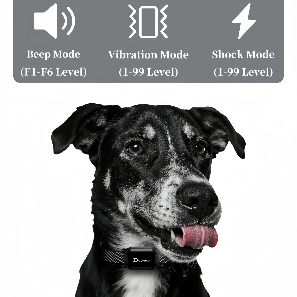 800m Digital Dog Training Collar