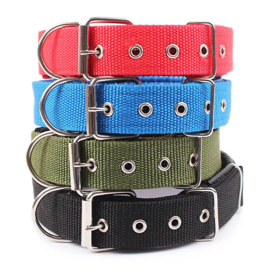 Solid Dog Collars  Nylon Dog Collar