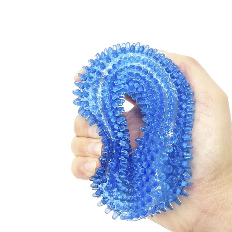Squeaky Pet Dog Interactive Chew Toy Puppy Bite