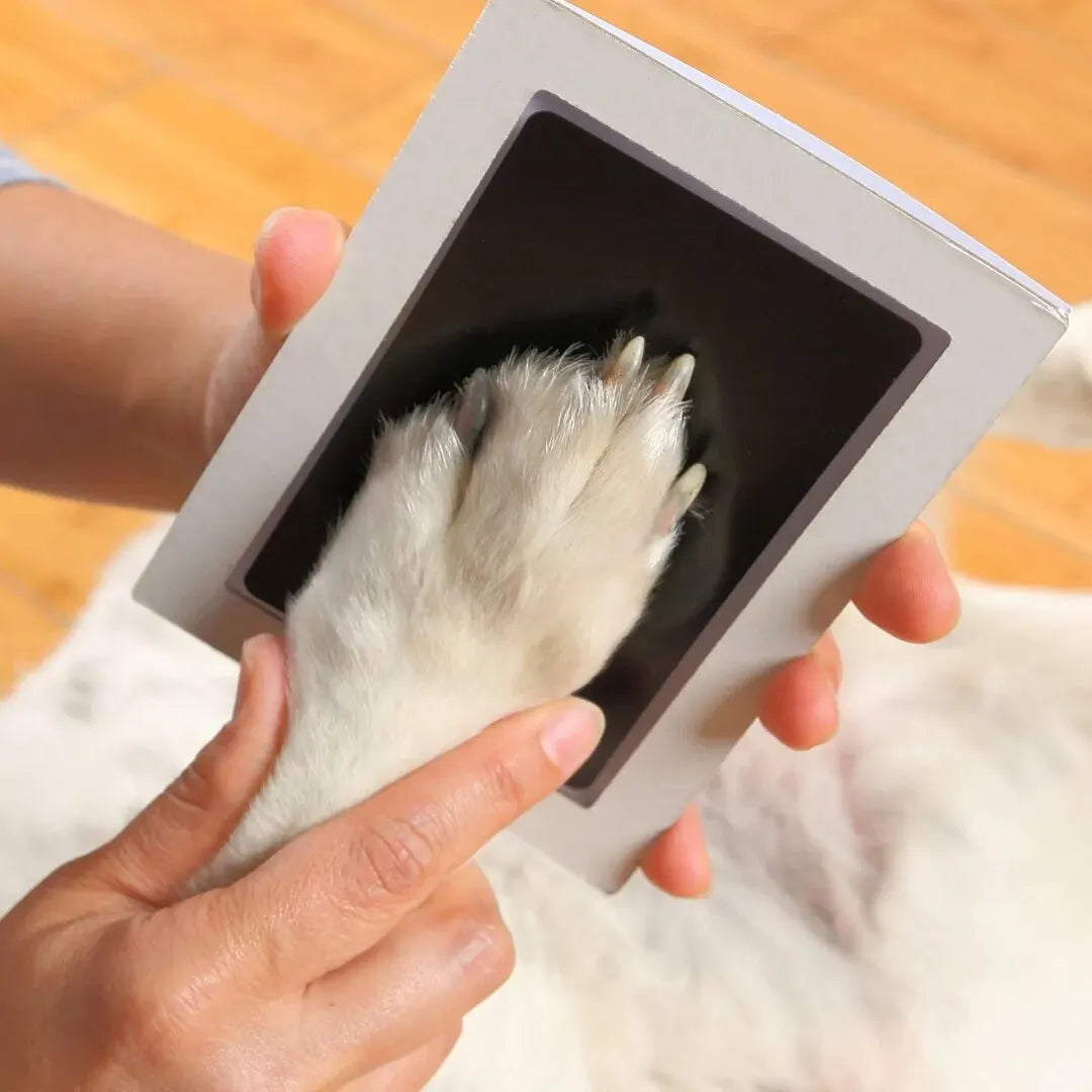 DIY Inkless Nose and Pawprint Impression Making Kit