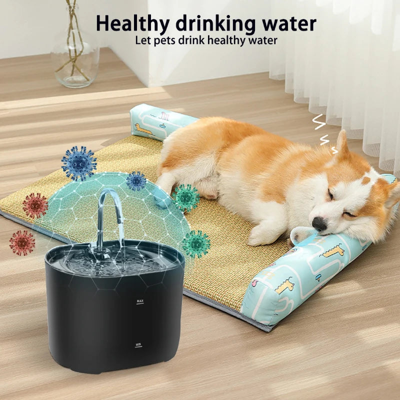 Cats Water Fountain Automatic