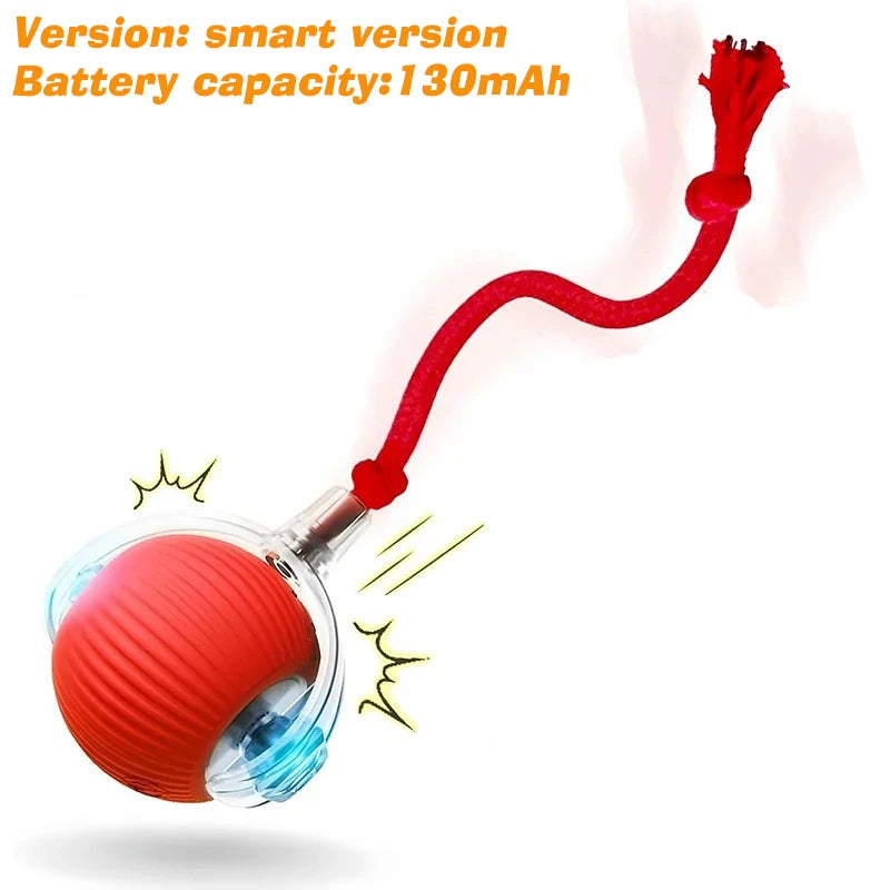 Automatic Rolling Dog Ball Rechargeable