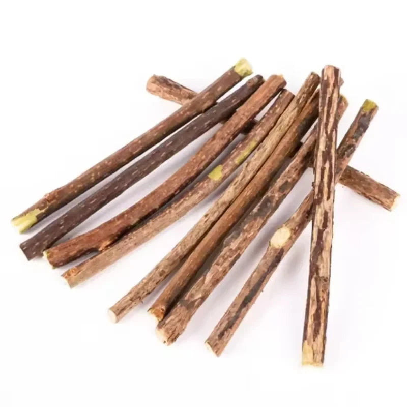 Natural Silvervine Sticks for Cats Teeth Cleaning