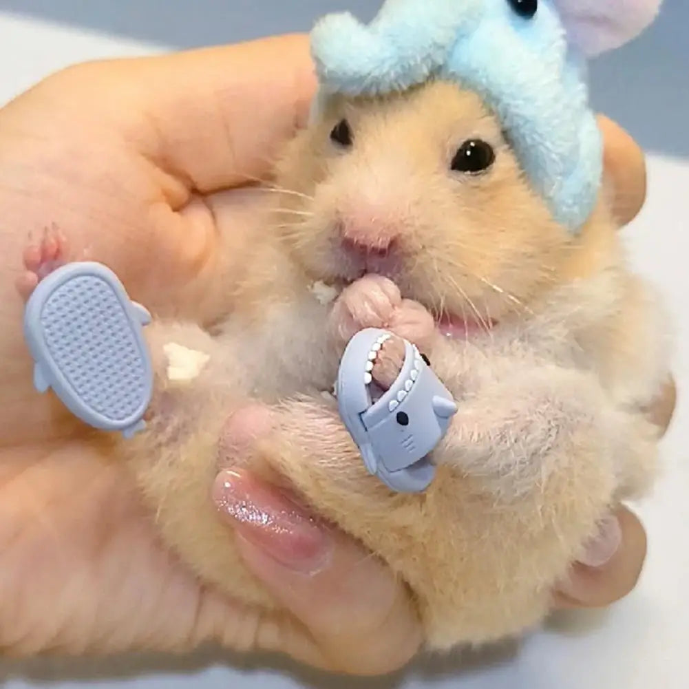 Hamster Mini Slipper Supplies