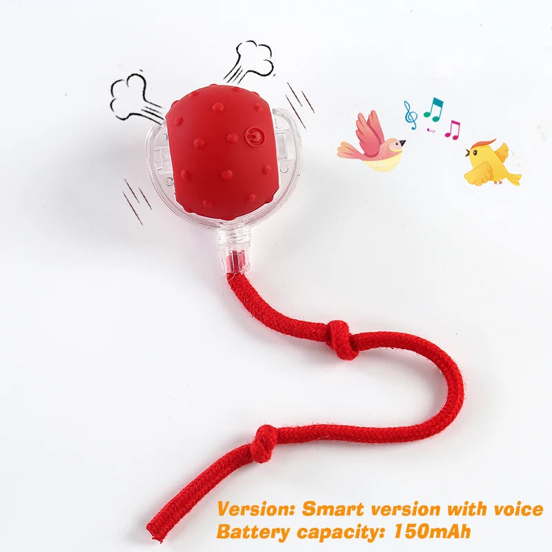Automatic Rolling Dog Ball Rechargeable