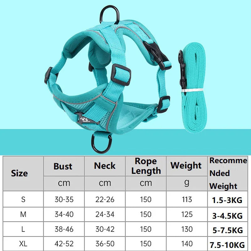 Cat Harness and Leash Set
