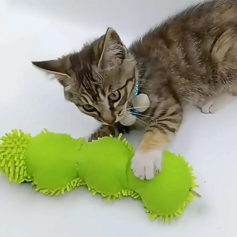 Cat Chew Toys Caterpillar Catnip Molar Toy