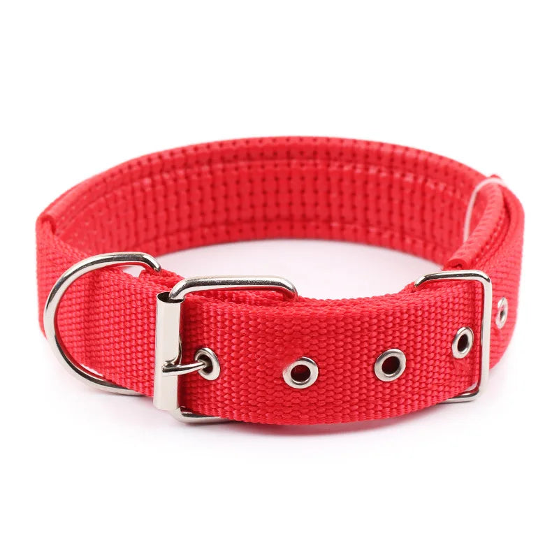 Solid Dog Collars  Nylon Dog Collar