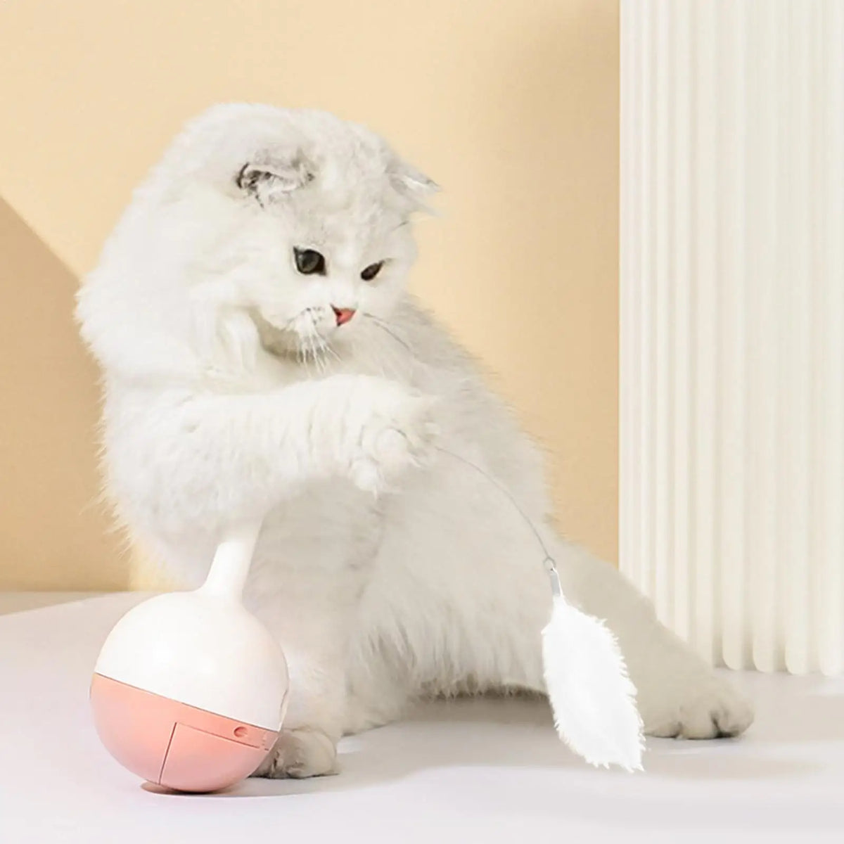 Indoor Cat Teaser Toy